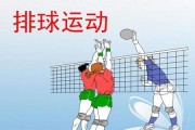 掌握正确的手传球技巧，提升排球水平（手传球技巧要领，教你成为排球高手）