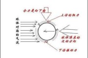 乒乓球技巧指南（新手如何提升乒乓球水平）