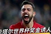历史世界杯奖金的最低标准是多少？（揭秘历届世界杯奖金最低标准及其影响）