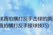 打乒乓球反手直拍的技巧与方法（提高反手直拍的准确性和力量，让你在乒乓球比赛中更具竞争力）