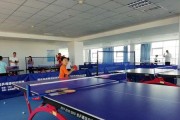 乒乓球——锻炼身心的理想运动（以乒乓球为主题的运动好处多多）