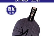 乒乓球圆弧球的技巧和战术（掌握发圆弧球的关键，提升乒乓球技术水平）