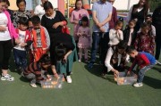 乒乓球与石头下落的对比（探索两种物体在运动中的差异与相似）