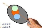 乒乓球技巧大揭秘（从发力角度到手腕细节，轻松掌握乒乓球发力技巧）