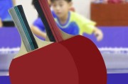 掌握乒乓球装球的技巧（以乒乓球球拍为基础，学会如何正确装球）