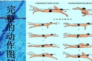 掌握游泳技巧，挑战自我极限（游泳运动教案）
