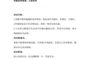 气排球助跑起跳的关键技术动作要领（掌握正确助跑技巧，提升起跳高度）