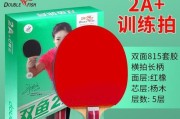 如何选择适合初学者的乒乓球拍（初学者乒乓球拍选择技巧及注意事项）