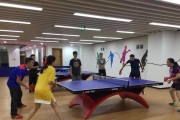 广西柳州乒乓球打法（深入探索柳州乒乓球的技巧与战略）