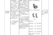 与以踢足球的男生聊天技巧（了解他们的热情与技艺，成为他们的聊天对象）