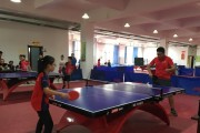 乒乓球青少年训练技巧（提升乒乓球水平，充实青少年生活）