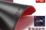 乒乓球国家队排名的背后（揭示中国乒乓球霸主地位的关键因素）