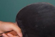 乒乓球底板的选择（区分不同乒乓球底板的关键因素及使用技巧）