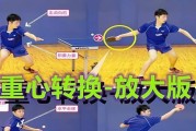乒乓球技巧大全（掌握乒乓球多种技巧，提升球艺水平）