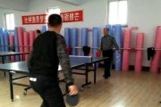 乒乓球——挥洒激情的球拍舞动（探索乒乓球的魅力，让运动成为生活的一部分）