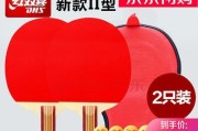 掌握乒乓球横排左右转换技巧的关键要点（提高乒乓球技术水平的必备技巧）