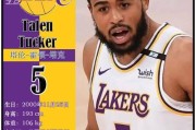 NBA历史上总冠军数量排行榜（哪个NBA球队赢得总冠军最多？）