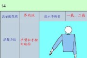 如何正确发球下网——排球裁判指南（掌握发球下网的要领，提高比赛公正性与技术水平）