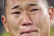 朝鲜南非世界杯的历史战绩
