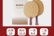 乒乓球快攻技巧大揭秘（击退对手快速攻击，掌握这些技巧关键！）