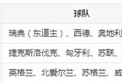 世界杯（历史、规则与激烈竞争——魅力无法抗拒）