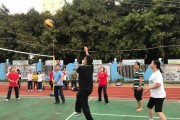 掌握排球基础扣杀技巧的关键（打造高效扣杀动作，提升比赛表现）