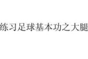 提升足球基本功技巧的教学目标（从零基础到技术熟练，打造完美足球技术）