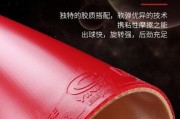 乒乓球胶皮的灌胶技巧（掌握灌胶技巧提升球拍性能）