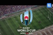 回顾2019年世界杯的辉煌历史（关键时刻，球场传奇）