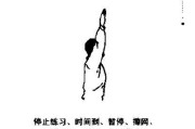 乒乓球发球连招技巧教学（提高乒乓球发球水平的关键技巧和训练方法）