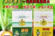 提高篮球弹速的防守技巧（突破速度瓶颈，让篮球弹速更快！）