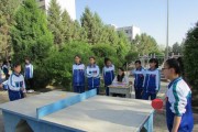打造中考体育技巧乒乓球教案，成就乒乓球之王（提升乒乓球技巧，实现中考体育高分）