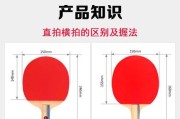 乒乓球教学换胶皮的必备知识（打造更强实力的关键——掌握乒乓球换胶皮技巧）