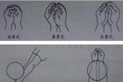 优化排球动作要领，提高技术水平（纠正常见错误，打造优秀运动员）
