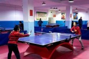 乒乓球快速练习的技巧与方法（提高技术水平的有效训练方法）