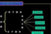乒乓球双打方位技巧大揭秘（提升双打能力，击败对手无往不利）