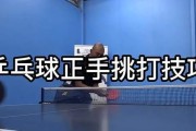 乒乓球技巧大揭秘（简单实用技巧教学，让你成为乒乓球高手）
