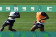 世界杯历史冠亚季进球数的变迁（一个关键数据揭示足球进攻风格的变化）